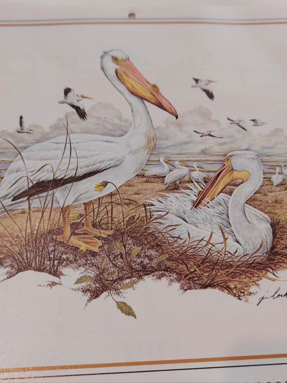 Vntg 1986 Wildlife Collection Callender, James Lockhart-Artist & Conservationist - Picture 11 of 16